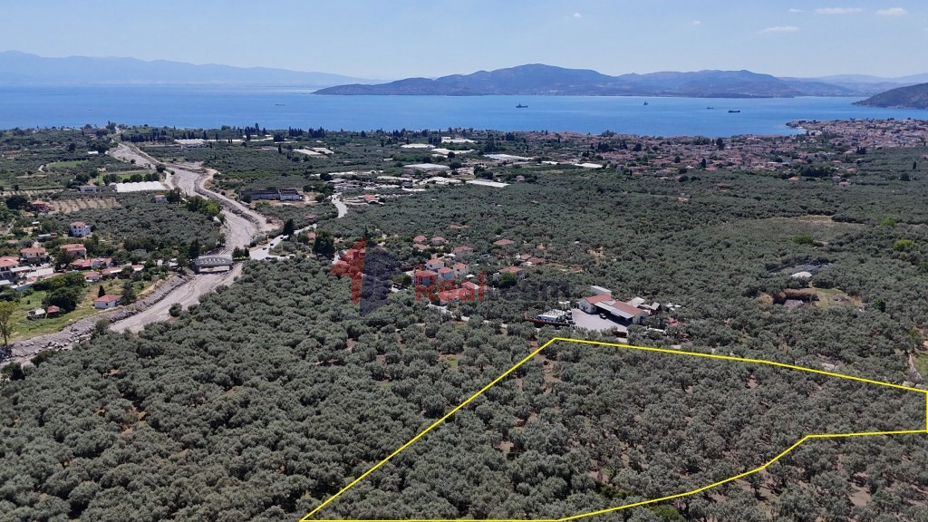 Αγροτεμάχια 5.753 τ.μ. προς πώληση, Βροχιά