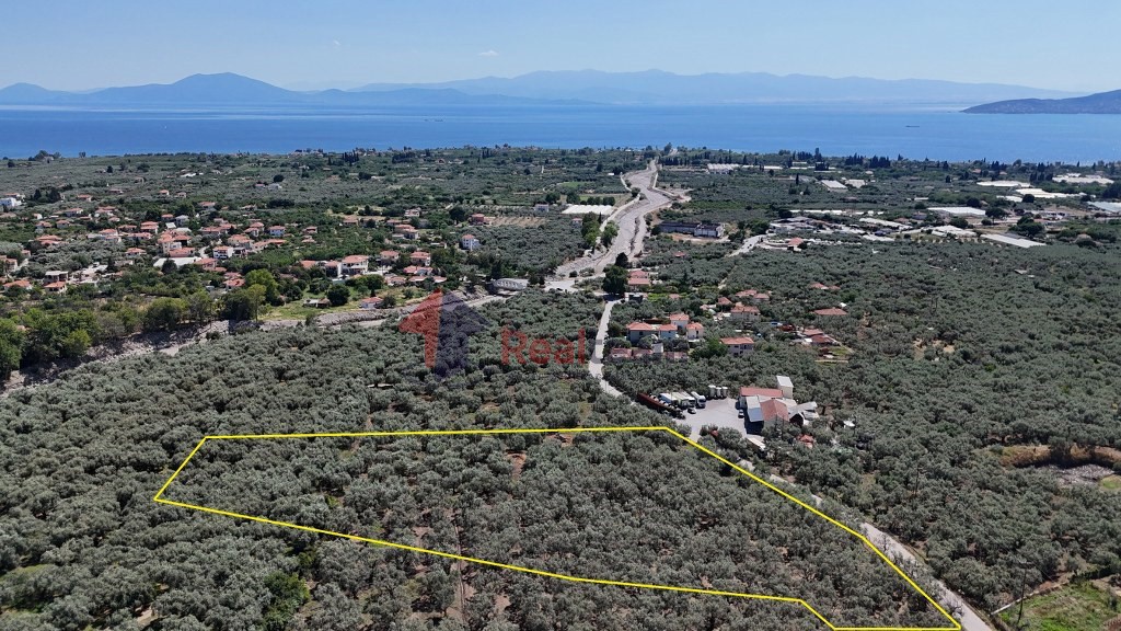 Αγροτεμάχια 5.753 τ.μ. προς πώληση, Βροχιά