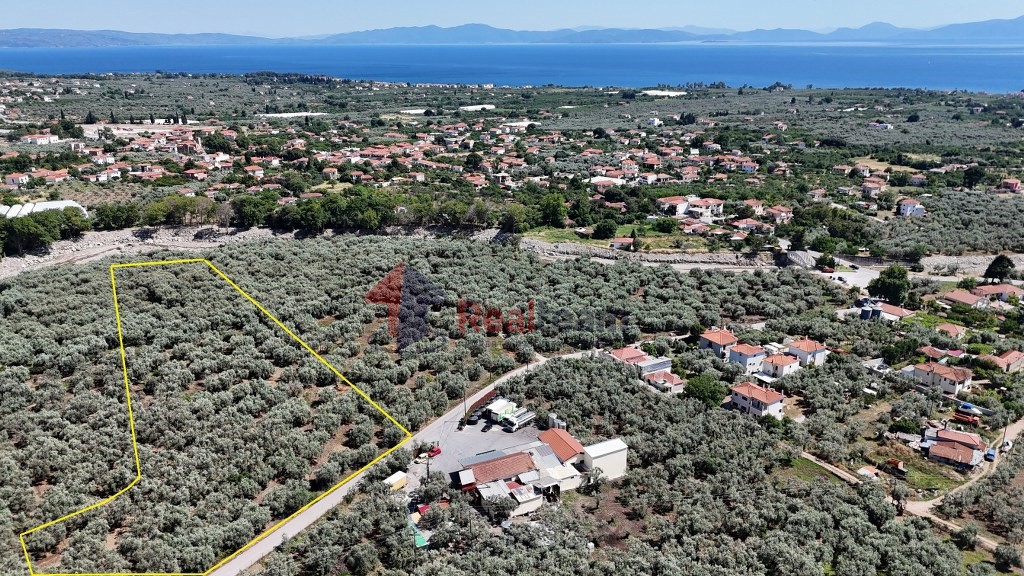 Αγροτεμάχια 5.753 τ.μ. προς πώληση, Βροχιά