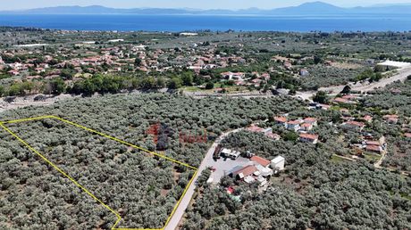 Αγροτεμάχια 5.753 τ.μ. πρός πώληση