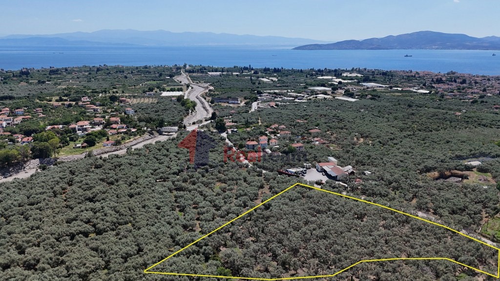 Αγροτεμάχια 5.753 τ.μ. προς πώληση, Βροχιά