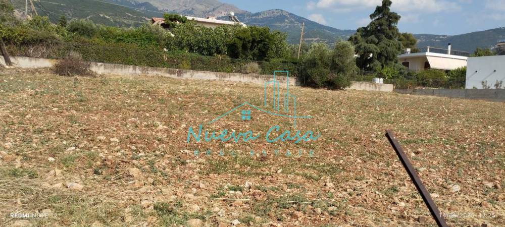 Land plot 1.000 sqm for rent, Achaia, Patra