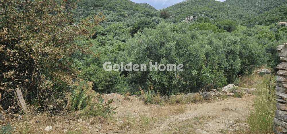 Αγροτεμάχια 8.473 τ.μ. για πώληση, Ν. Καρδίτσας, Ιθώμης