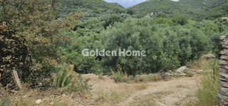 Αγροτεμάχια 8.473 τ.μ. για πώληση