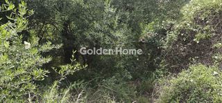 Parcel 8.473 sqm for sale, Karditsa Prefecture, Ithomi-thumb-1