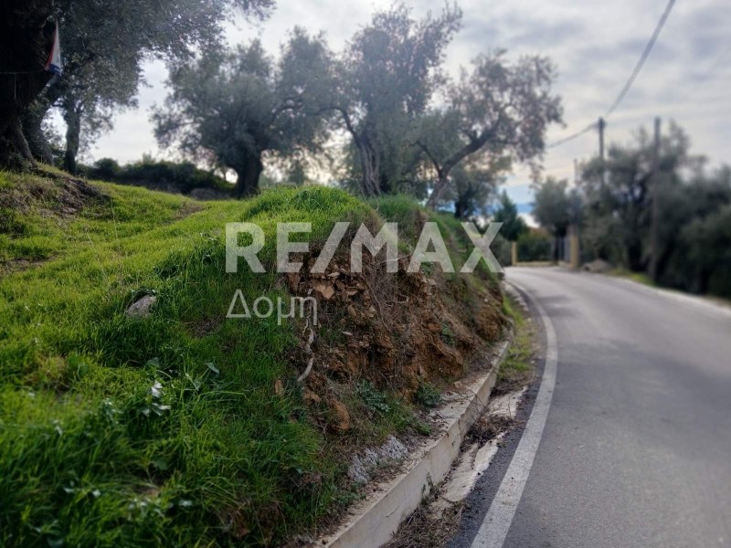 Αγροτεμάχια 2.200 τ.μ. προς πώληση, Καλά Νερά