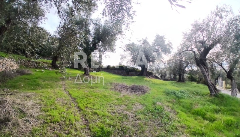 Αγροτεμάχια 2.200 τ.μ. προς πώληση, Καλά Νερά