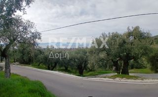 Αγροτεμάχια 2.200 τ.μ. για πώληση