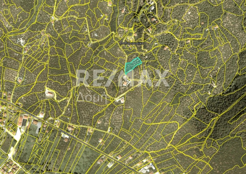 Αγροτεμάχια 2.200 τ.μ. προς πώληση, Καλά Νερά