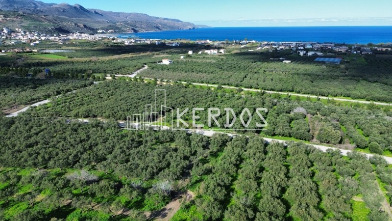 Οικόπεδο 7.200 τ.μ. προς πώληση, Ραπανιανά