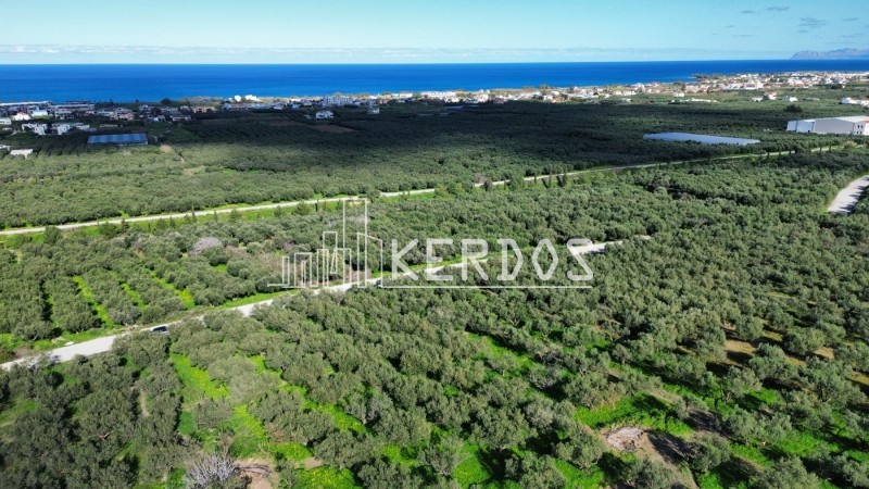 Οικόπεδο 7.200 τ.μ. προς πώληση, Ραπανιανά