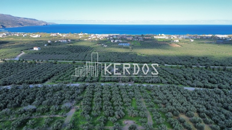 Οικόπεδο 7.200 τ.μ. προς πώληση, Ραπανιανά