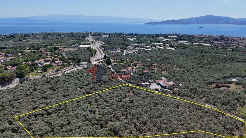 Αγροτεμάχια 10.080 τ.μ. πρός πώληση, Μαγνησία, Αρτέμιδα