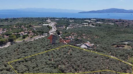 Parcel 10.080 sqm for sale