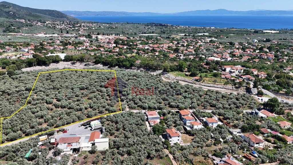 Αγροτεμάχια 10.080 τ.μ. πρός πώληση, Μαγνησία, Αρτέμιδα