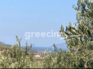 Μονοκατοικία 50 τ.μ. για πώληση, Αργολίδα, Ασκληπιείο-thumb-9