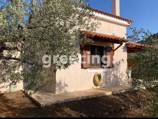 Μονοκατοικία 50 τ.μ. για πώληση, Αργολίδα, Ασκληπιείο-thumb-7