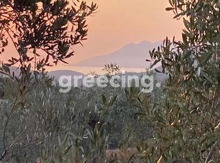 Μονοκατοικία 50 τ.μ. για πώληση, Αργολίδα, Ασκληπιείο-thumb-8
