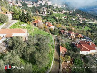 Οικόπεδο 196 τ.μ. για πώληση, Αρκαδία, Γορτυνία-thumb-11
