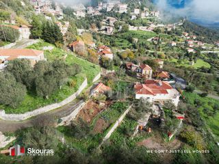 Οικόπεδο 196 τ.μ. για πώληση, Αρκαδία, Γορτυνία-thumb-9