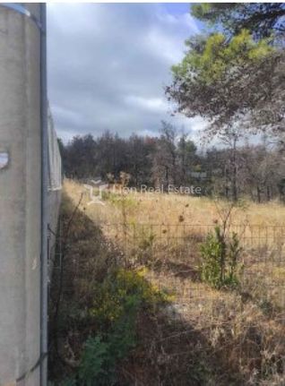 Οικόπεδο 2.000 τ.μ. για πώληση, Αττική - Υπόλοιπο, Πολυδένδρι