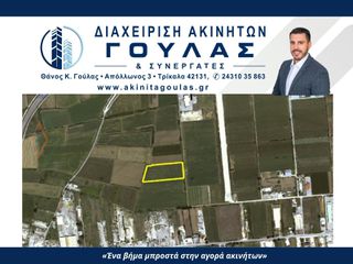 Αγροτεμάχια 18.884 τ.μ. για πώληση