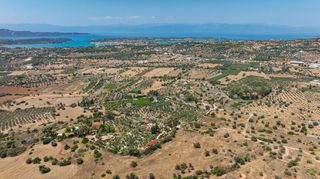 Αγροτεμάχια 18.114 τ.μ. για πώληση, Αργολίδα, Κρανίδι-thumb-10