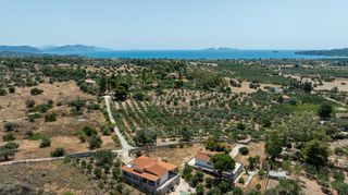 Αγροτεμάχια 18.114 τ.μ. για πώληση, Αργολίδα, Κρανίδι-thumb-24