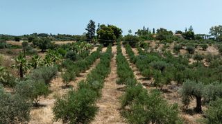 Αγροτεμάχια 18.114 τ.μ. για πώληση, Αργολίδα, Κρανίδι-thumb-9