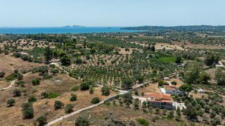 Αγροτεμάχια 18.114 τ.μ. για πώληση, Αργολίδα, Κρανίδι-thumb-21
