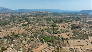 Αγροτεμάχια 18.114 τ.μ. για πώληση, Αργολίδα, Κρανίδι-thumb-16