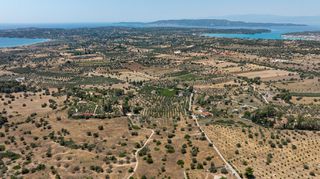 Αγροτεμάχια 18.114 τ.μ. για πώληση