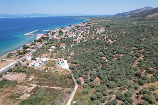 Αγροτεμάχια 3.049 τ.μ. για πώληση