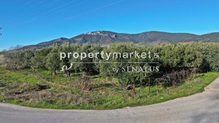 Αγροτεμάχια 1.620 τ.μ. για πώληση