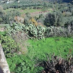 Μονοκατοικία 90 τ.μ. για πώληση, Ν. Ρεθύμνου, Γεροπόταμος-thumb-8