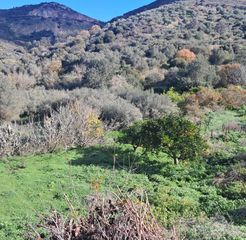 Μονοκατοικία 90 τ.μ. για πώληση, Ν. Ρεθύμνου, Γεροπόταμος-thumb-9