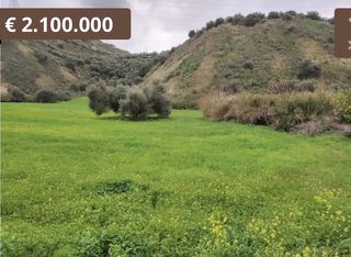 Αγροτεμάχια 100.000 τ.μ. για πώληση