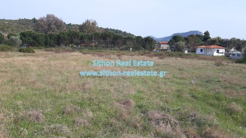 Αγροτεμάχια 7.000 τ.μ. προς πώληση, Δεστενίκα