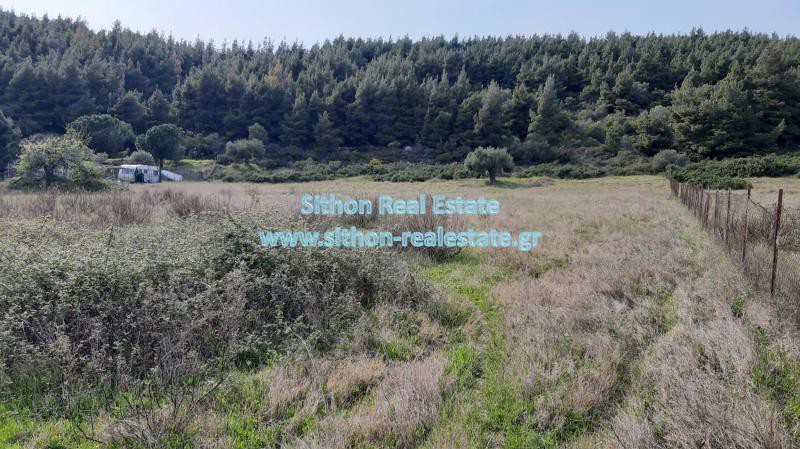 Αγροτεμάχια 7.000 τ.μ. προς πώληση, Δεστενίκα