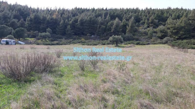 Αγροτεμάχια 7.000 τ.μ. προς πώληση, Δεστενίκα