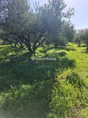 Οικόπεδο 1.308 τ.μ. για πώληση