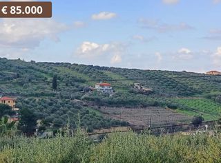 Οικόπεδο 550 τ.μ. για πώληση