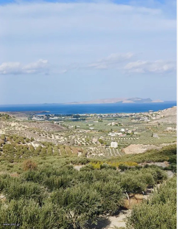 Οικόπεδο 4.500 τ.μ. προς πώληση, Καρτερός Νέας Αλικαρνασσού