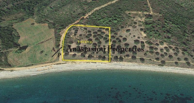 Αγροτεμάχια 10.468 τ.μ. πρός πώληση, Χαλκιδική, Παλλήνη