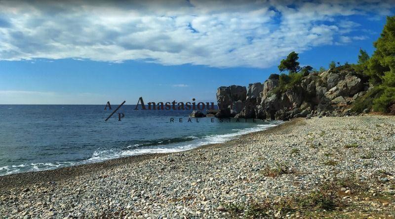 Αγροτεμάχια 10.468 τ.μ. πρός πώληση, Χαλκιδική, Παλλήνη