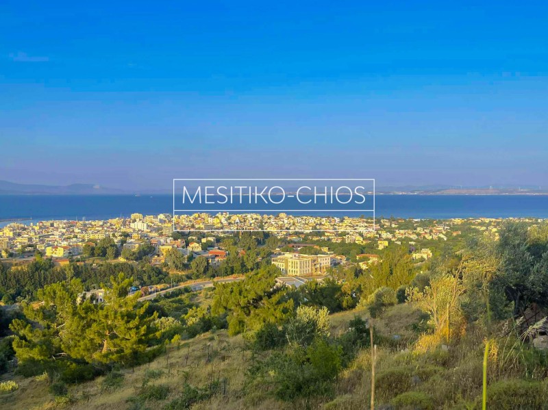 Αγροτεμάχια 1.470 τ.μ. προς πώληση, Πόλη Χίου