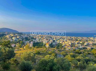 Αγροτεμάχια 1.470 τ.μ. για πώληση