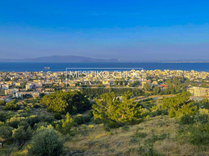 Αγροτεμάχια 1.470 τ.μ. προς πώληση, Πόλη Χίου