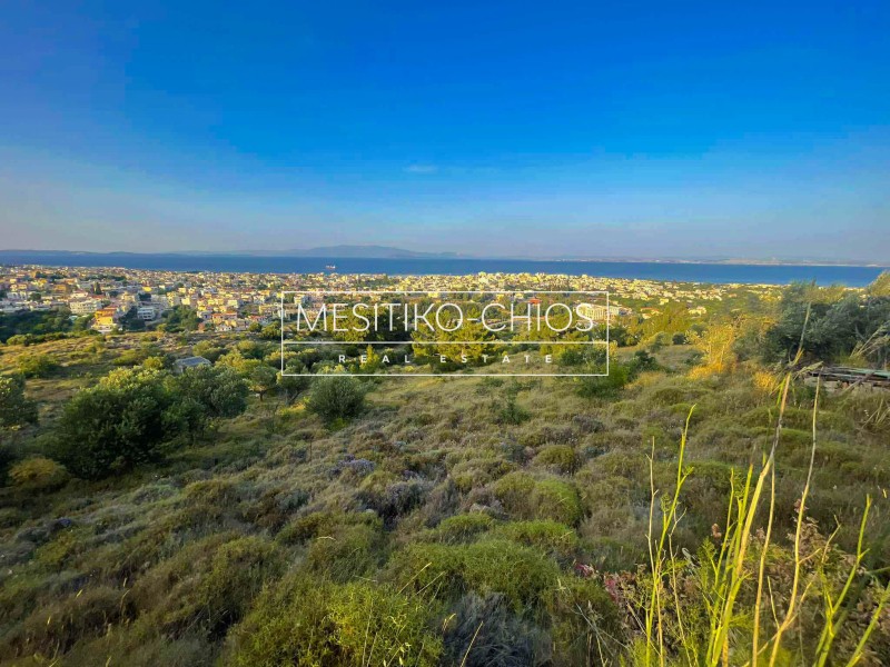 Αγροτεμάχια 1.470 τ.μ. προς πώληση, Πόλη Χίου