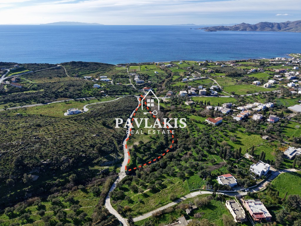 Οικόπεδο 9.539,80 τ.μ. πρός πώληση, Εύβοια, Κάρυστος